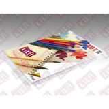 100 adet Kika Resim Kağıdı 35 x 50 cm
