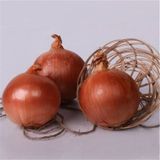 100 Adet Natural Soğan Tohumu
