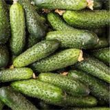 100 Adet Tohum Kornison Salatalik Tohumu Kitir Kornison Salataligi Supriz Hediye Sebze Tohumludur