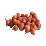 100 Adet Tohum Nadir Arpacik Acisiz Kiska Kuru Sogan Tohumu Organik Hobi Bahce Yetistiricilik Tohum