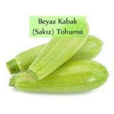 100 Adet Tohum Organik Taze Yeni Hasat Beyaz Kabak Tohumu Kalem Yesil