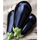100 Black Beauty Patlıcan Tohumu