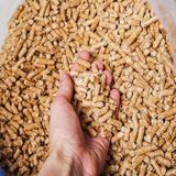 %100 Çam Peleti Kedi Kumu Organik Tozsuz Doğal Çam Kokulu 6mm 10 Lt (5kg)