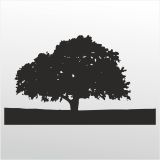 100 cm Ağaç Folyo Sticker
