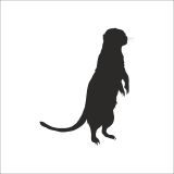 100 cm Gelincik Folyo Sticker