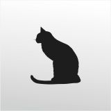100 cm Kedi Folyo Sticker