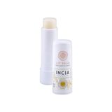 %100 Doğal Dudak Besleyici Bergamot & Limon Bitkisel Nemlendirici Dudak Bakım Kremi 6 G