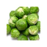 100+ Geleneksel Brüksel Lahanası Tohumu N115794
