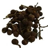 100 gr Doğal Tane Saf Balık Otu