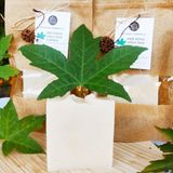 100 gr Neslihan Tahiroğlu Keçi Sütlü Sığla ( Günlük) Yağı Sabunu (Sığla Yağı & Lavanta Yağı)-(El Yapımı & Doğal Sabun) - 100 GR KEÇİ SÜTLÜ SIĞLA SABUNU