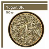 100 gr Yoğurt Otu