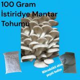 100 Gram İstiridye Mantar Tohumu