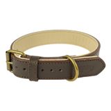 %100 Hakiki Deri - Antik Tokalı Köpek Tasması – Yumuşak İç Katman, Dayanıklı ve Şık Tasarım - Gerçek Deriden Tasma; Ekstra Küçük, Küçük, Orta, Büyük, Çok Büyük Köpekler İçin (Kahverengi, L)