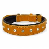 %100 Hakiki Deri - Antik Tokalı Köpek Tasması – Yumuşak İç Katman, Dayanıklı ve Şık Tasarım - Gerçek Deriden Tasma; Ekstra Küçük, Küçük, Orta, Büyük, Çok Büyük Köpekler İçin (Taba, L)