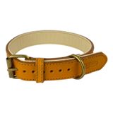 %100 Hakiki Deri - Antik Tokalı Köpek Tasması – Yumuşak İç Katman, Dayanıklı ve Şık Tasarım - Gerçek Deriden Tasma; Ekstra Küçük, Küçük, Orta, Büyük, Çok Büyük Köpekler İçin (Taba, S)