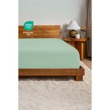 %100 Pamuk Penye Kumaş Lastikli Çarşaf - Fitted - Yumuşak - Kaliteli Tek Kişilik - Çift Kişilik - Adaçayı - 180x200+30 cm