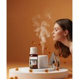%100 Saf Amber Çiçeği Esansı - Ütü, Buhardanlık ve Koku Makineleri İçin 10 ml 722808