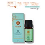 %100 Saf & Doğal Tıbbi Nane Uçucu Yağı 10 Ml Buhurdanlık Difüzör Aromaterapi Mum Masajı Cilt Saç Bakımı