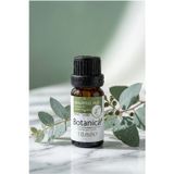 %100 Saf Okaliptus Yağı Burun Tıkanıklığı Doğal Uçucu Bitkisel Aromaterapi 10 ml