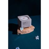 %100 Soya Wax Organik Beton Mum & Saksı - Ocean - Çok Renkli
