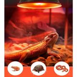 100 Watt Kızılötesi / Kırmızı Işık Isıtıcı Lambalar Sürüngenler, Amfibiler ve Kuşlar Için