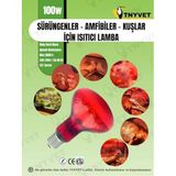 100 Watt Kızılötesi/Kırmızı Işık Isıtıcı Lambalar Sürüngenler, Amfibiler Ve Kuşlar Için [Enerji Sınıfı A]