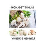 1000 Adet Beyaz Şapkalı Mantar Tohumu Ve Eğitim Kılavuzu Ve Suprist Hediye