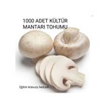 1000 Adet Kültür Mantarı Tohumu + Eğitim Kılavuzu + Hediye