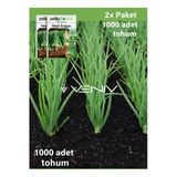 1000 Adet Yeşil Soğan Tohumu- 2 Paket