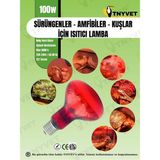 1001 100 Watt Kızılötesi/kırmızı Işık Isıtıcı Lambalar Sürüngenler, Amfibiler ve Kuşlar Iç - 0,5 W - Altın