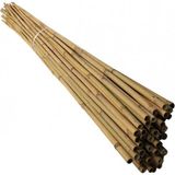 1001 120 cm Doğal Bambu Bitki Destek Çubuğu 10 Adet 5-10 mm