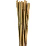 1001 63712 Bambu Destek Çubuğu 10'lu - 8-10 mm x 90 cm