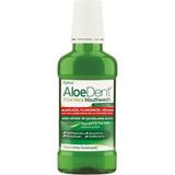1001 Alkolsüz ve Florürsüz Ağız Kokusu Önleyici Doğal Ağız Bakım Suyu - 250 ml - 1 Adet