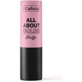 1001 All About Color Matte Lipstick Mat Görünümlü Ruj 502 My Empire, Turuncu