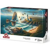 1001 Art Puzzle Gökyüzü Gözcüsü 2000 Parça Puzzle