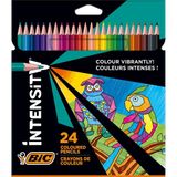 1001 Bıc Color Up Üçgen Kuru Boya Kalemi, 24'lü Kutu - ölçü - tip