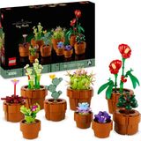 1001 Botanicals Minik Bitkiler 10329 – Yetişkinler Için Terakota Renkli Saksıda Kurak, Tropik ve Et�