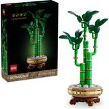 1001 Botanicals Şans Bambusu 10344 | Yetişkinler Için Bambu Sapları ve Ahşap Efektli Saksı Içeren - 10 cm