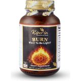 1001 Burn L-Karnitin, Yeşil Çay, Guarana ve Zencefil Ekstreli Takviye Edici Gıda | Vegan, Glütensiz & - --