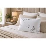 1001 Cottonpure™ Organik Pamuk Ortopedik Visco Yastık 60X40X13 cm Hassas Ciltler Için - 100 x 100 cm