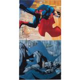 1001 Defacto Erkek Çocuk Erkek Çocuk Justice League Plaj Havlusu, Çok Renkli, Standard - 0,6 x 19 x 29 cm