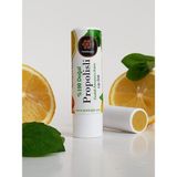 1001 Dudak Kremi Propolis Bal Nane Limon Aynısefa Shea Hindistan Cevizi Üzüm Çekirdeği Yağları Bal - ton