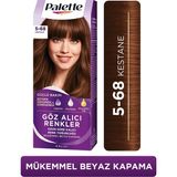 1001 Göz Alıcı Renkler Saç Boyası 5-68 Kestane Saç Boyası