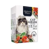 1001 Kedi Çimi 500 ml - 1 Parça
