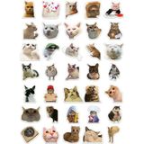 1001 "kedi Mood Sticker Seti" 35 Adet - Bullet Journal - Ajanda -Planner - Defter - Laptop-Tablet Için