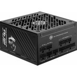 1001 Mpg A1250GS Pcıe5 1250W 80+ Gold Atx 3.1 Pcıe 5.1 2x 12V-2X6 Power Supply - 100 W
