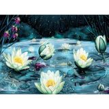 1001 Nova Puzzle 1000 Parça Yıldızlı Gecede Lotus Çiçekleri
