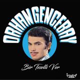 1001 Orhan Gencebay Bir Teselli Ver Plak - Beyaz - Gold