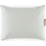 1001 Pamuk Penye Sıvı Geçirmez Yastık Alezi 35 x 45 (2'li Pa Ket), Çok Renkli, Std - 0,6 x 19 x 29 cm