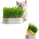 1001 Plastik Kâseli 0 Doğal Fileli Kedi Çimi (Tüy Yumağı Önleyici)